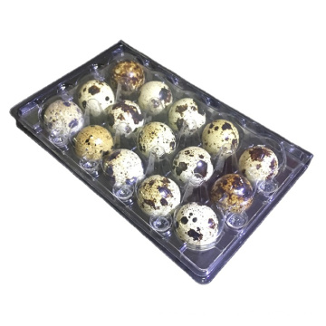 wholesale blister plastic 6/12/20/18/24/30holes quail egg tray cartons
